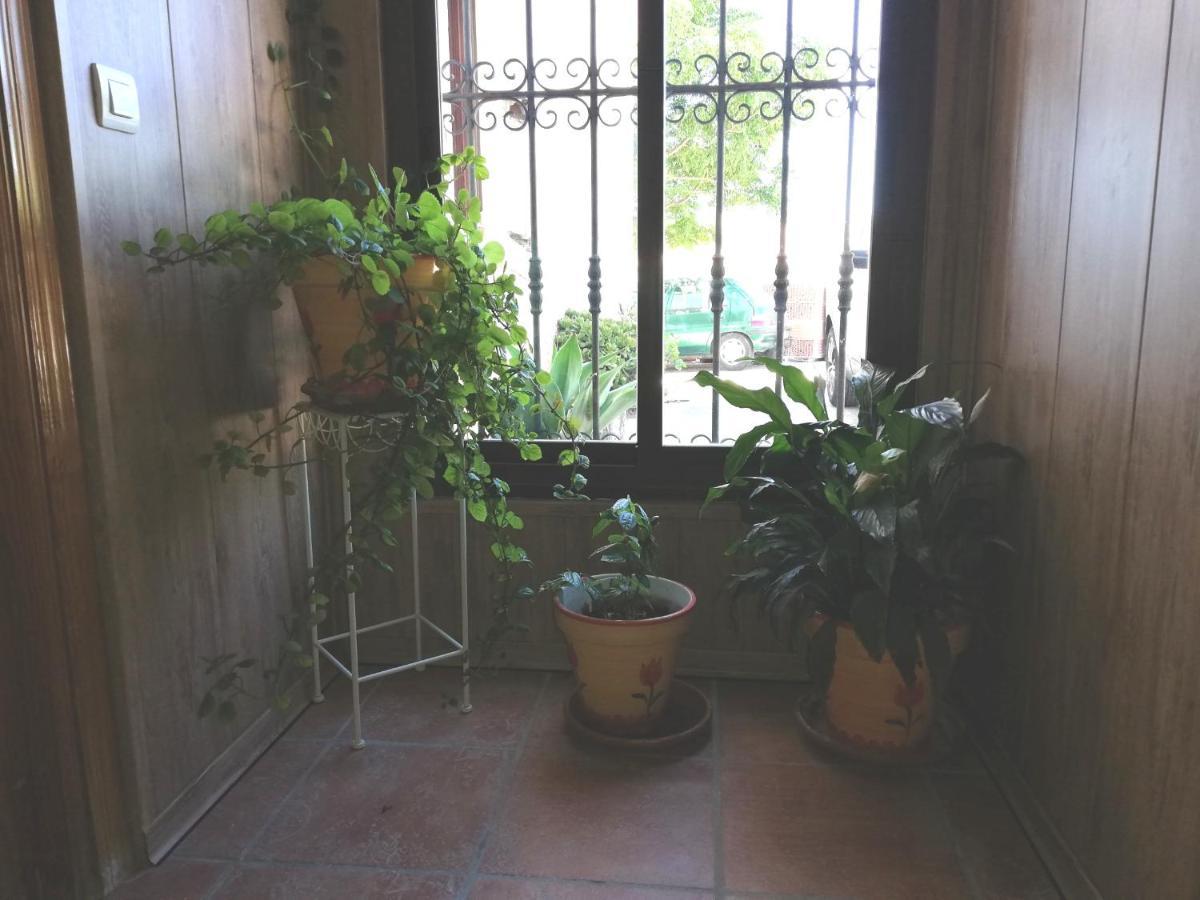 Hostal Brenaverde Gaucin Bagian luar foto