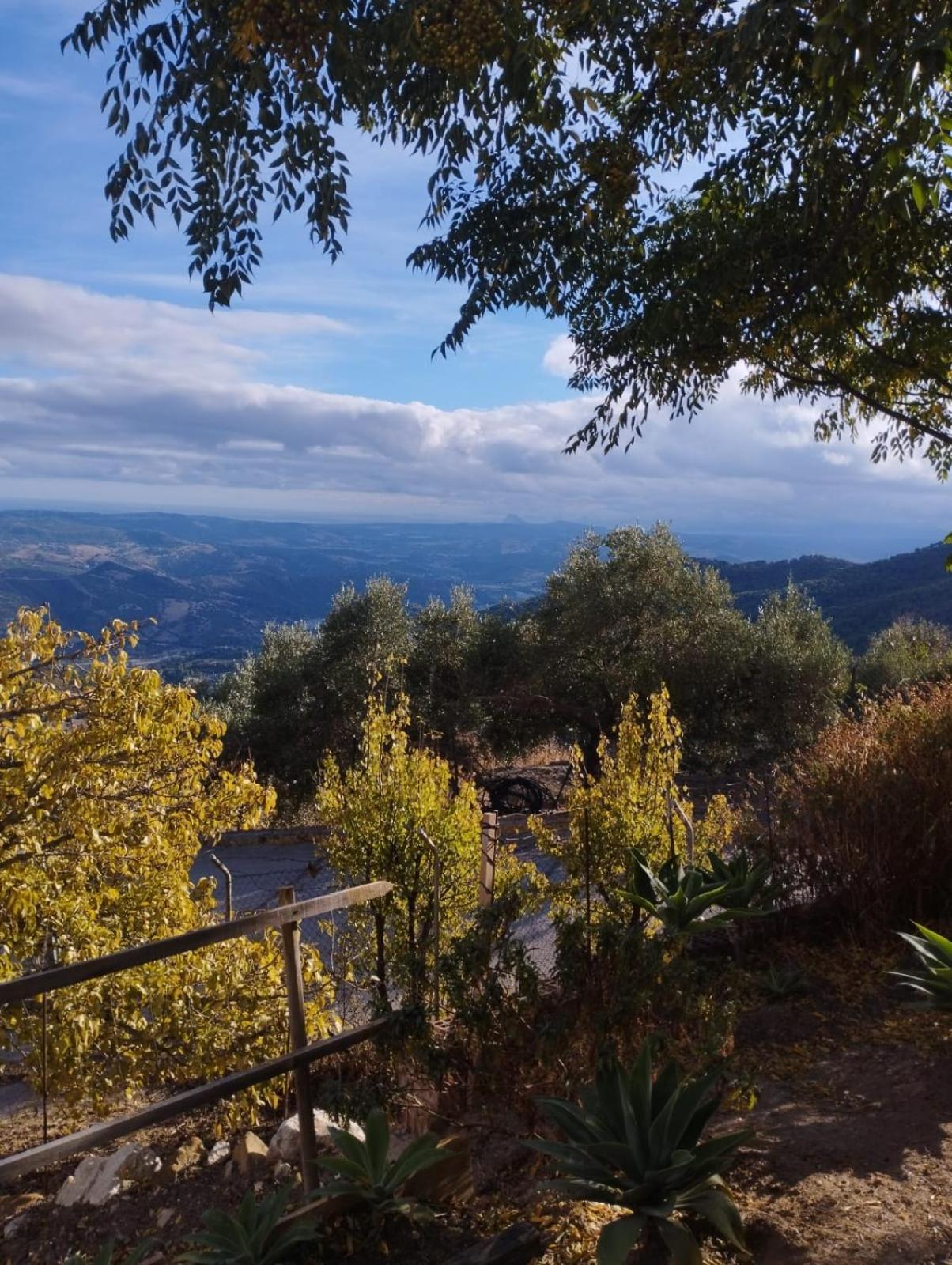 Hostal Brenaverde Gaucin Bagian luar foto
